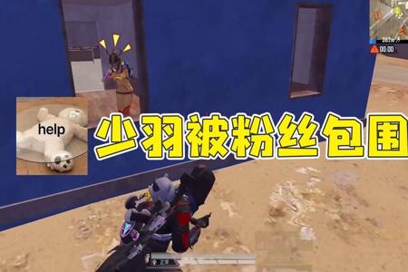 和平精英少羽看见开外挂的人(和平精英少羽开外挂视频)