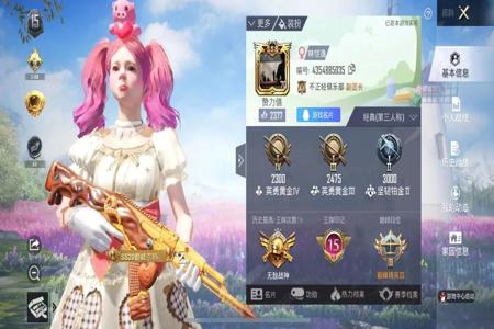 和平精英开挂无敌系统已开启