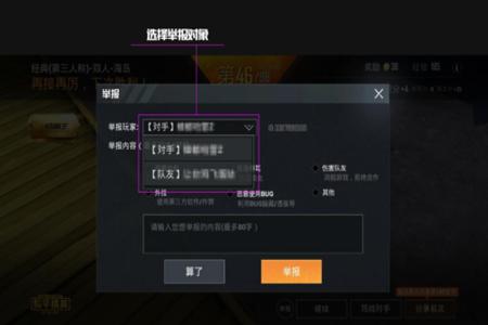 Game怎么使用和平精英开挂（怎么用和平精英玩外挂）