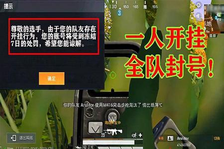 和平精英遇到开挂的两兄弟